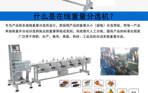 食品在线检重机与烤胶机的工作原理及协同应用